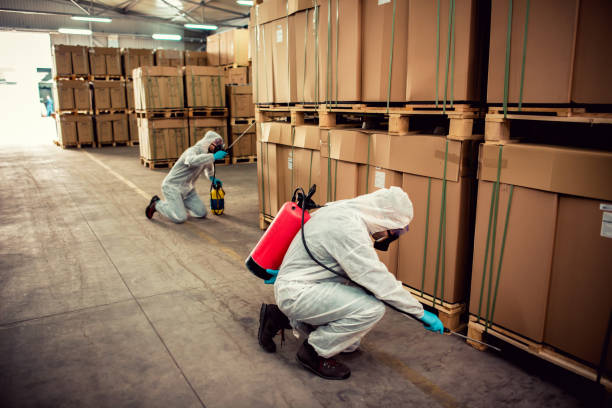 Pest Prevention Services in Sugar Land, TX