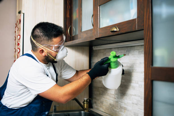 Best Pest Prevention Services  in Sugar Land, TX