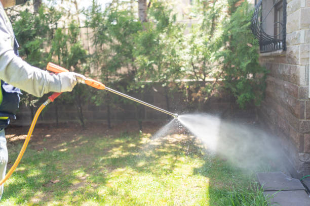 Best Mosquito Control Services  in Sugar Land, TX