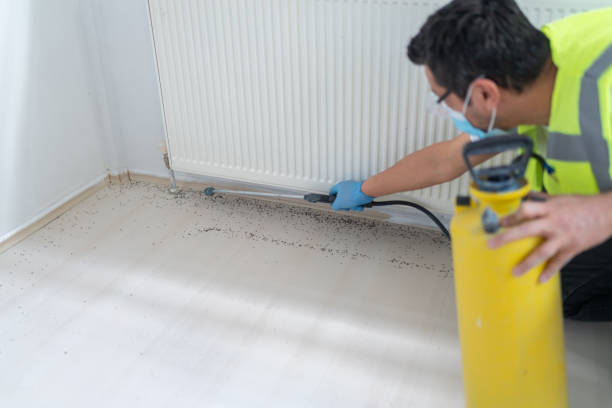 Best Emergency Pest Control  in Sugar Land, TX