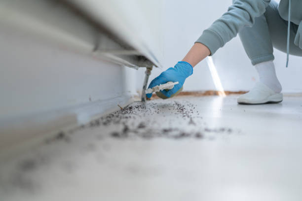 Professional Pest Control in Sugar Land, TX