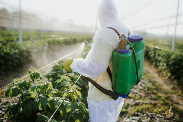 Bird Control in Sugar Land, TX